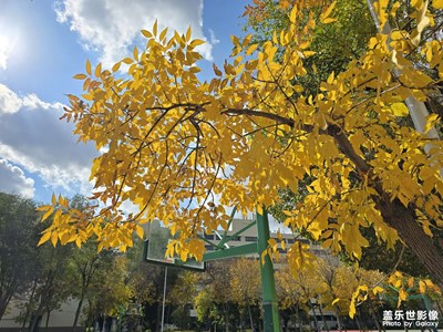 【金秋时节】+五彩斑斓的世界