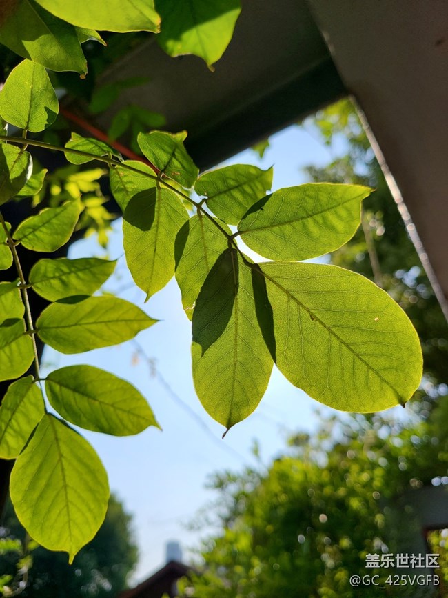 【初秋的颜色】金秋色彩