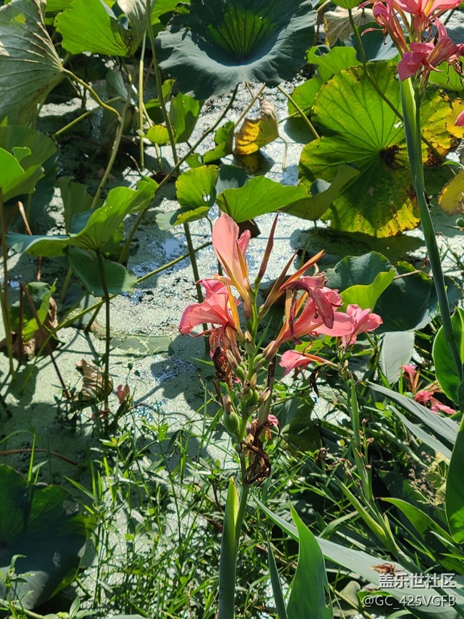 【秋色斑斓】秋色