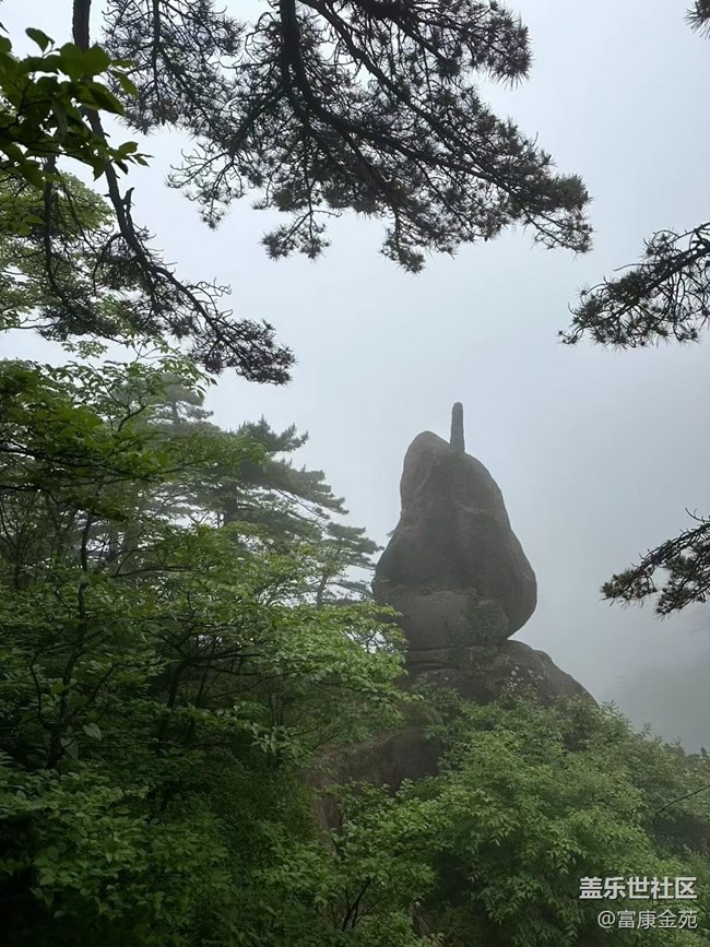 【我的十一假期】登黄山