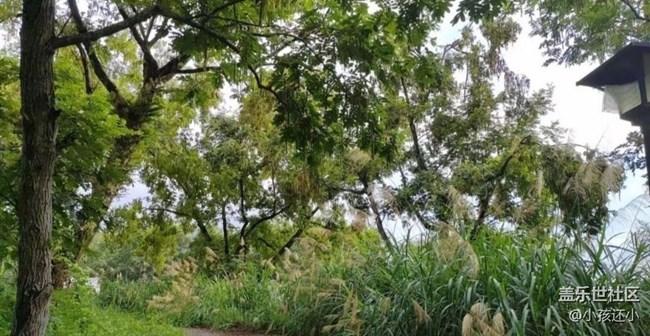 【与国同庆】傍晚时分