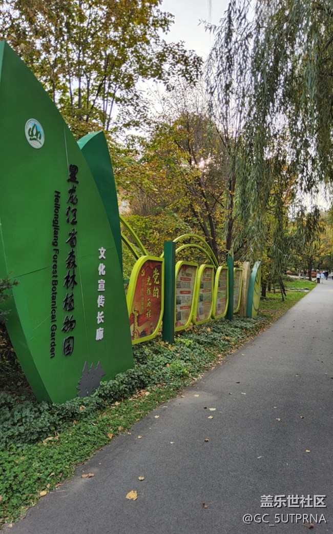 哈尔滨之秋