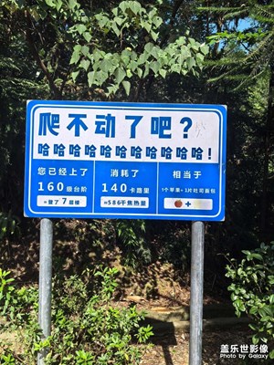 【金秋时节】排队爬山
