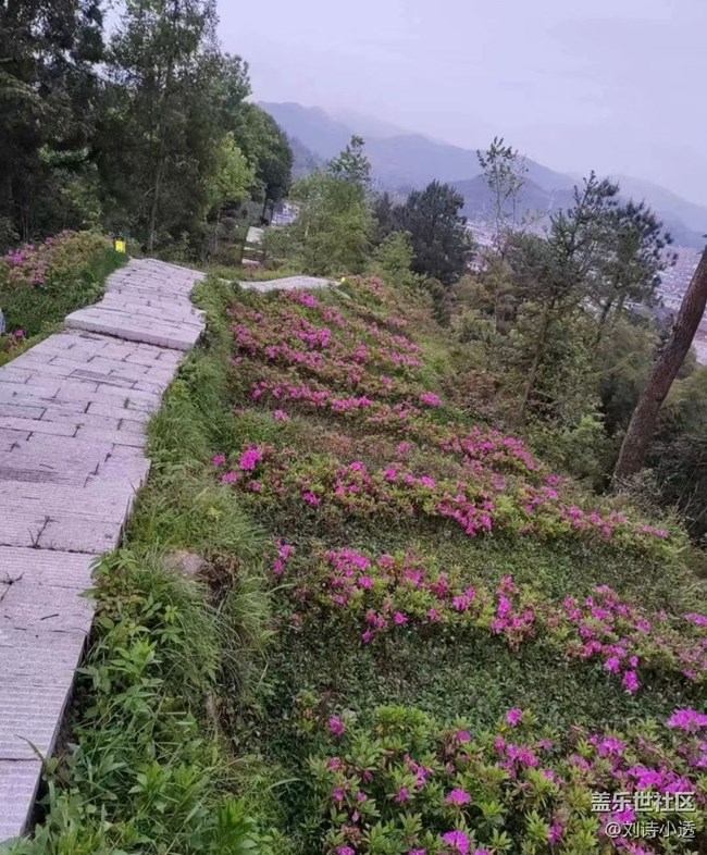 【我的十一假期】山顶赏景