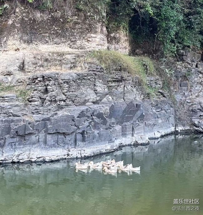 【与国同庆】露营