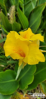 【金秋时节】+随手拍