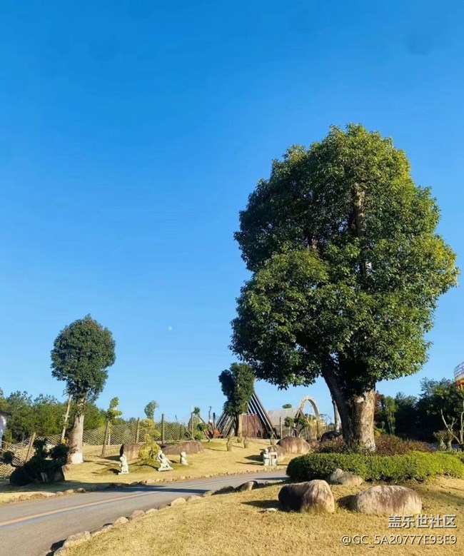【我的十一假期】家门口的景