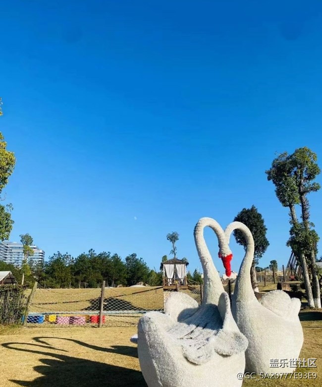 【我的十一假期】家门口的景