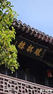 八月桂花开在了九月。