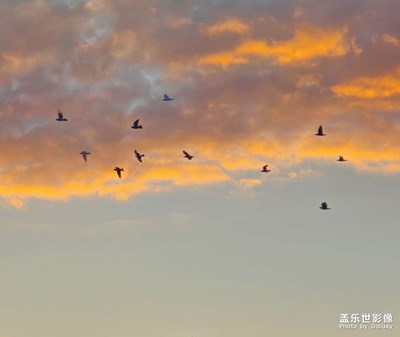 【金秋时节】+美丽的晚霞