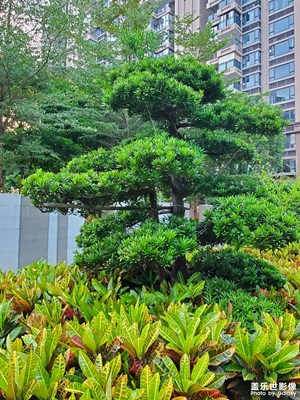 【金秋时节】记录色彩斑斓的金秋