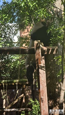 随拍
