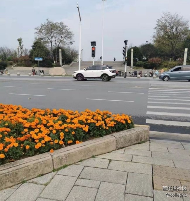 【与国同庆】秋天你好