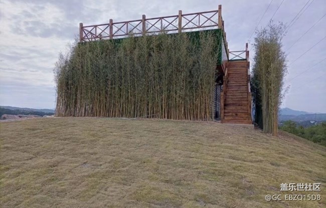 【与国同庆】植物园