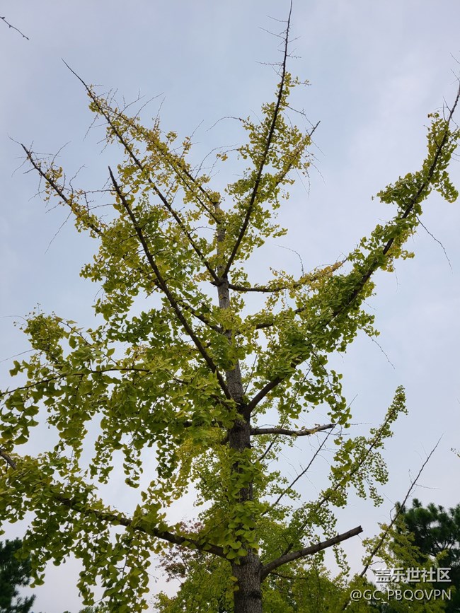 【五颜六色的秋天】秋天的颜色