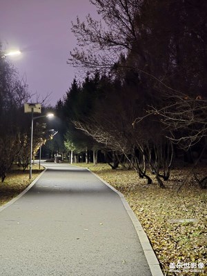 【金秋时节】+ 秋风落叶