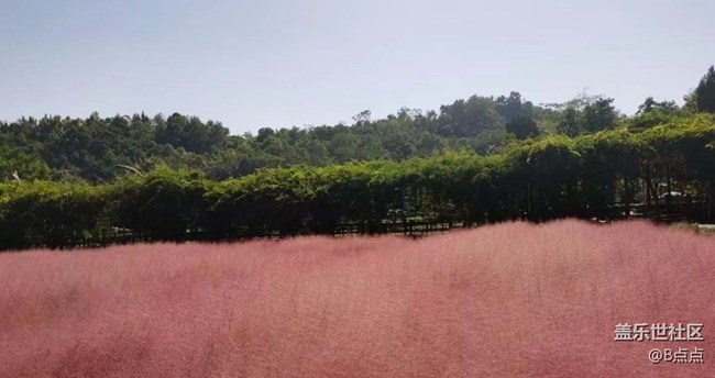 【最美秋色醉人心】蓝天白云