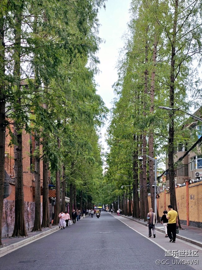 【甜爱路citywalk线下摄影活动】+街拍