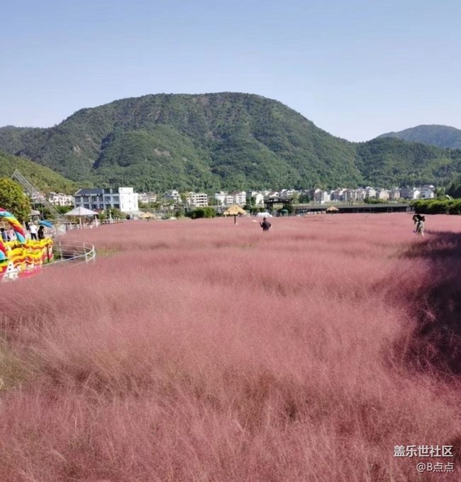 【最美秋色醉人心】蓝天白云