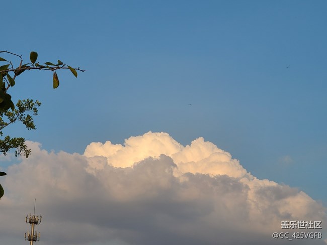 【我相册里的滤镜】+不同的滤镜