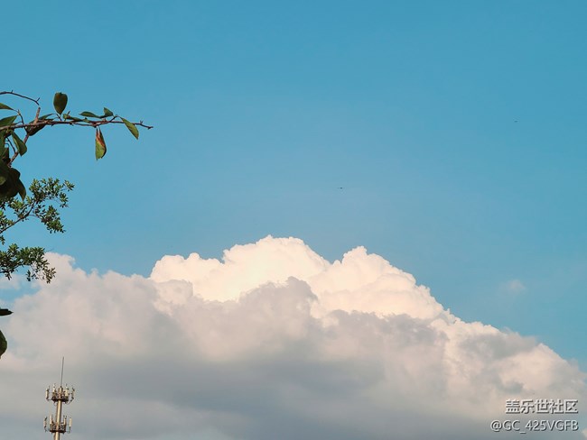 【我相册里的滤镜】+不同的滤镜