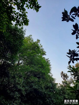【金秋时节】秋高气爽