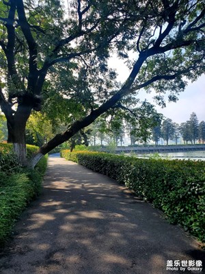 【静美时分】+湖边小路