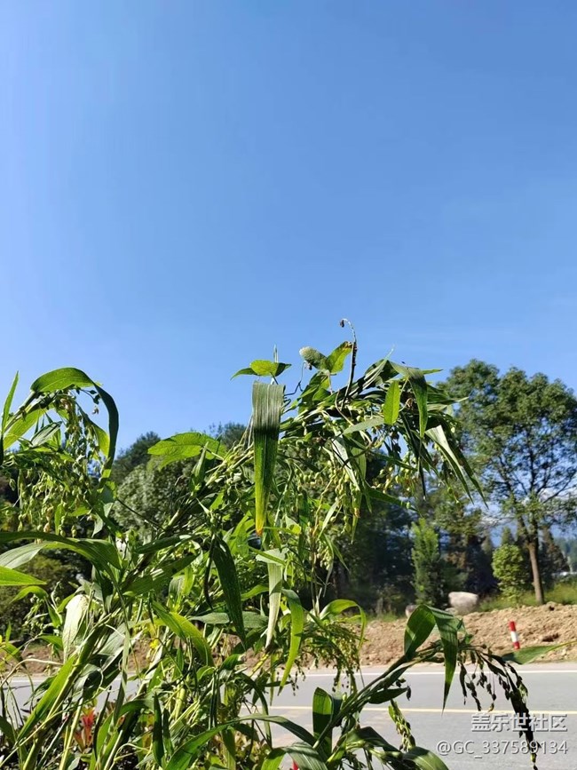 【Galaxy影像】自然的律动+ 秋意浓