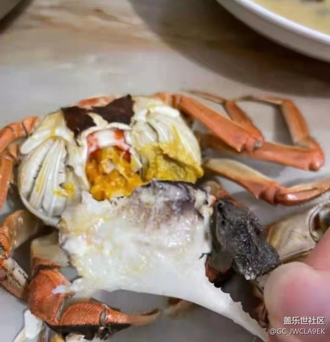 【秋膘很贴心】吃蟹正当时