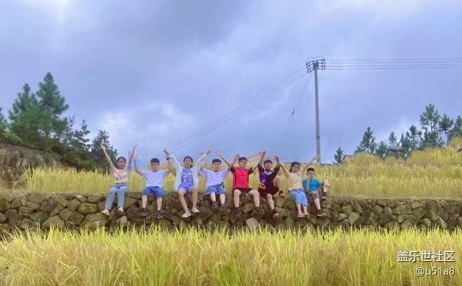 【与国同庆】稻香