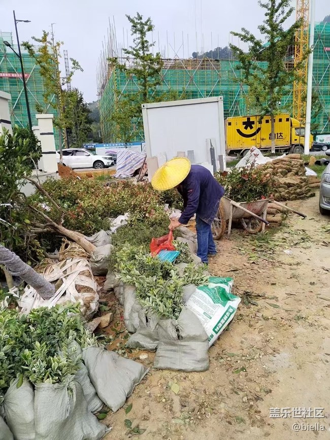 【与国同庆】每日工作