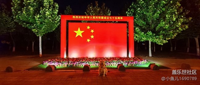 【我和我的祖国】各种五星中国心