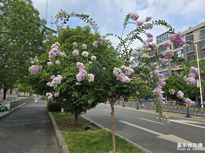 随手拍