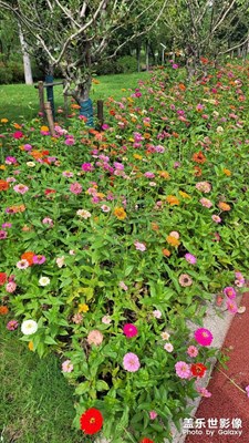 【静美时分】+色彩缤纷