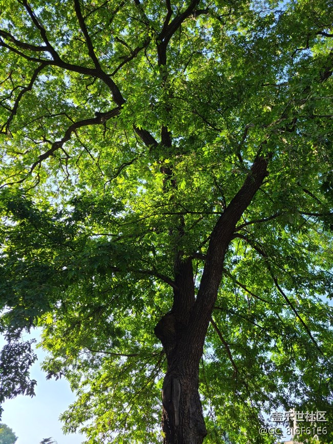 【五颜六色的秋天】彩色秋天