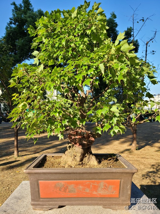 【五颜六色的秋天】彩色秋天