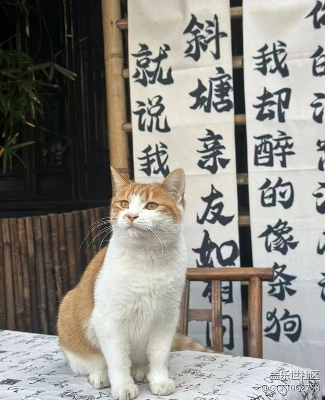 【与国同庆】美好生活