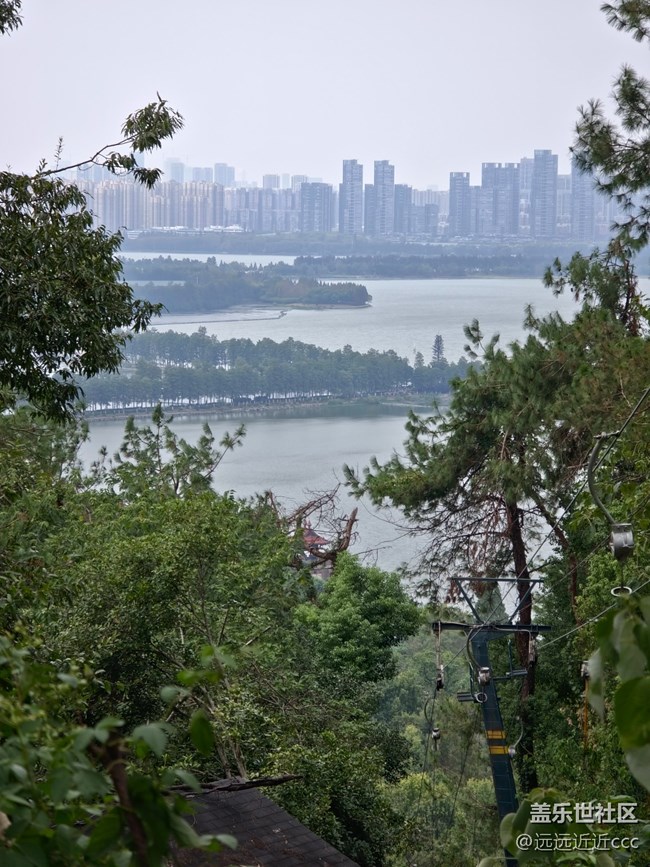 【东湖印象】东湖半日游