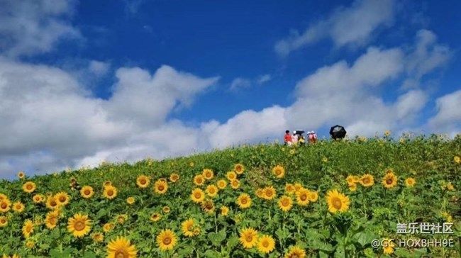 【留存的照片】家乡美景