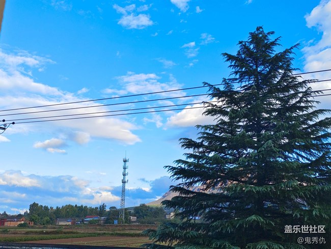 【最美秋色醉人心】蓝天