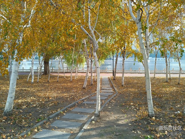 【金秋色彩】路边