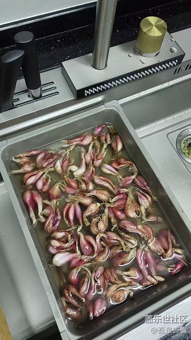 【留存的照片】种花