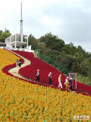 【静美时分】山顶花园
