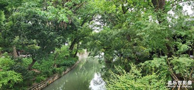 【静美时分】+雨后江南