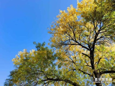 是秋天啊