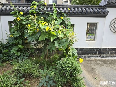 随手拍