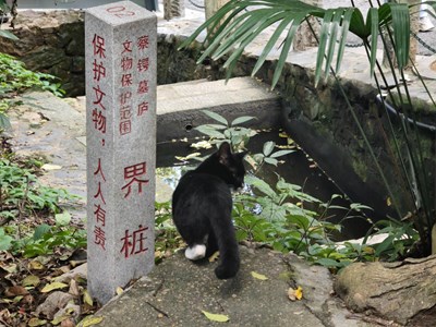 【静美时分】享受
