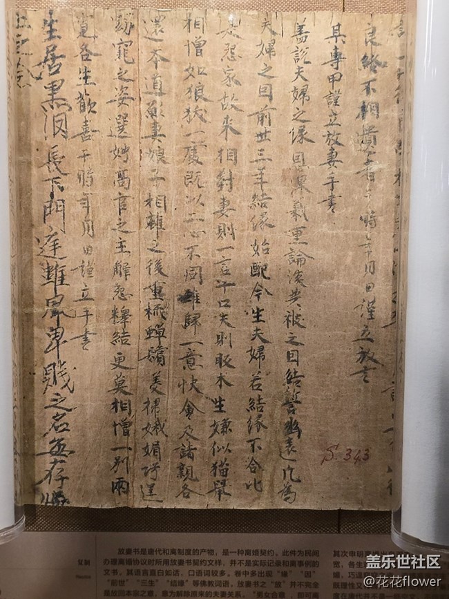 #十月中的小美好——看展