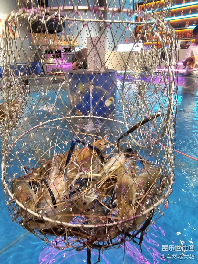 三星厦门星部落钓虾与摄影盛会:捕捉欢乐,定格瞬间