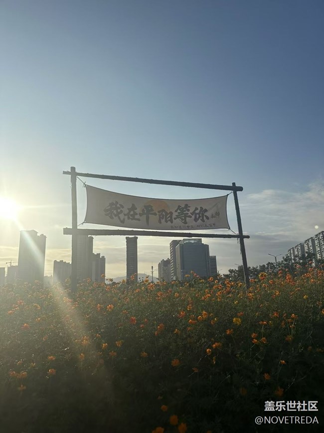 【Galaxy影像】自然的律动+花海